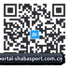 安卓通用版 二维码